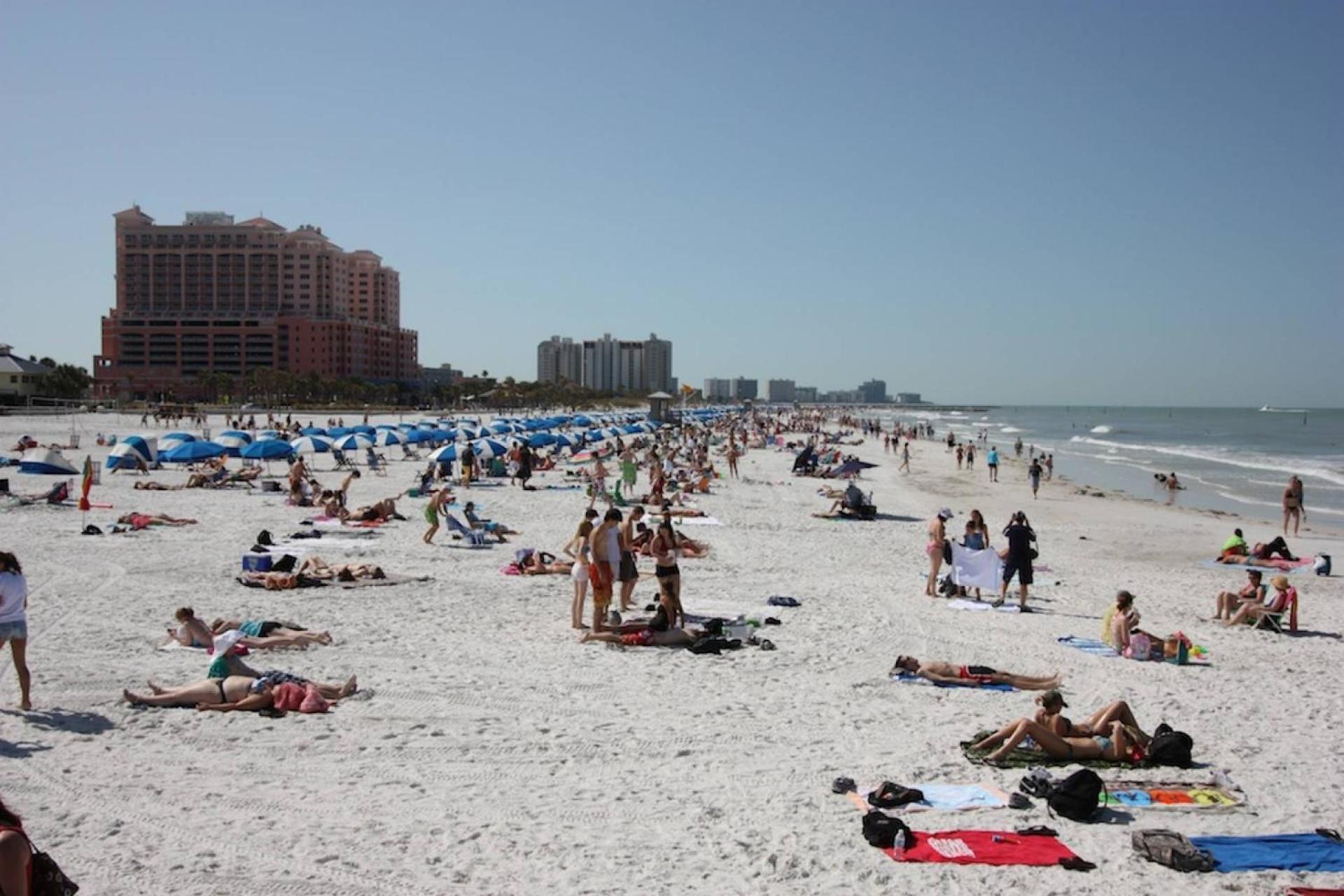 201 Belleair Beach Club Clearwater Beach Εξωτερικό φωτογραφία